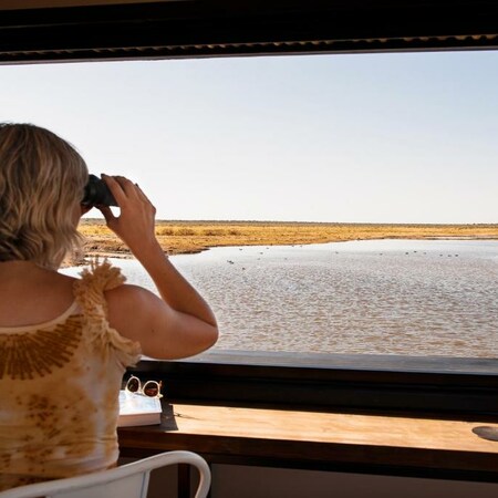 Exploring Etosha