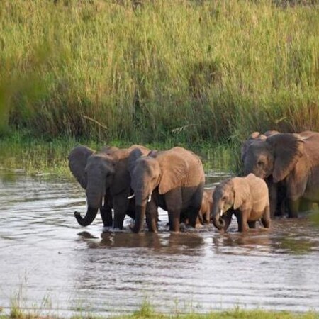 4* Mziki Safari Lodge - Near Brits Family Package (2 Nights)