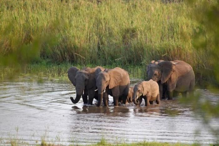 4* Mziki Safari Lodge - Near Brits Family Package (2 Nights)
