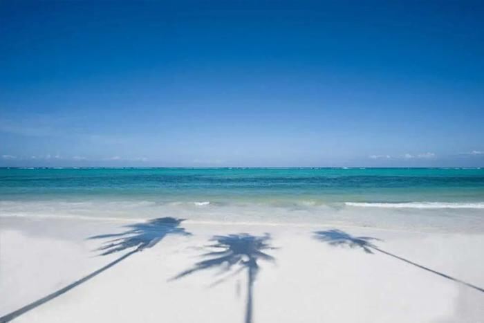 5* The Palms Resort (Adults only)- Zanzibar Package (7 Nights) EX CPT