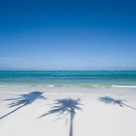 5* The Palms Resort (Adults only) - Zanzibar Package (7 Nights)
