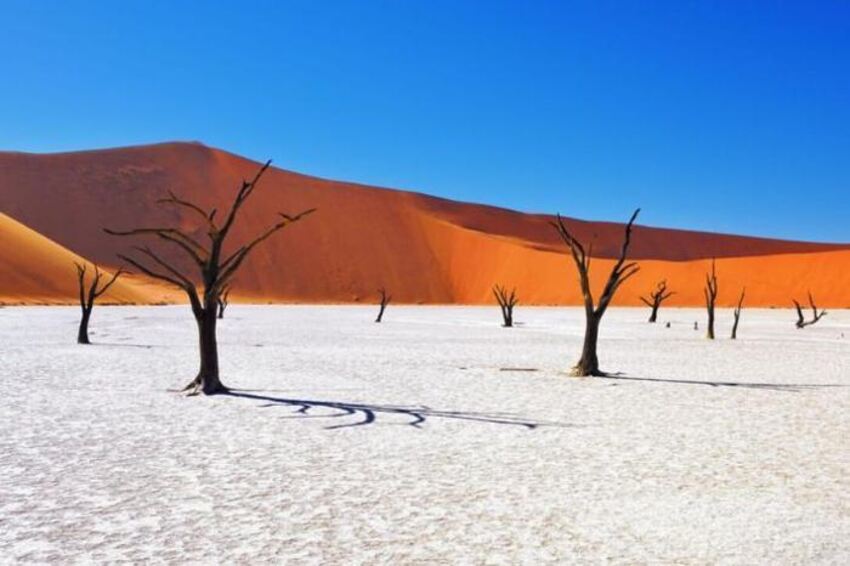Desert and Sea Escape Package (5 Nights)