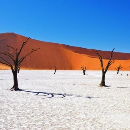 Desert and Sea Escape Package (5 Nights)